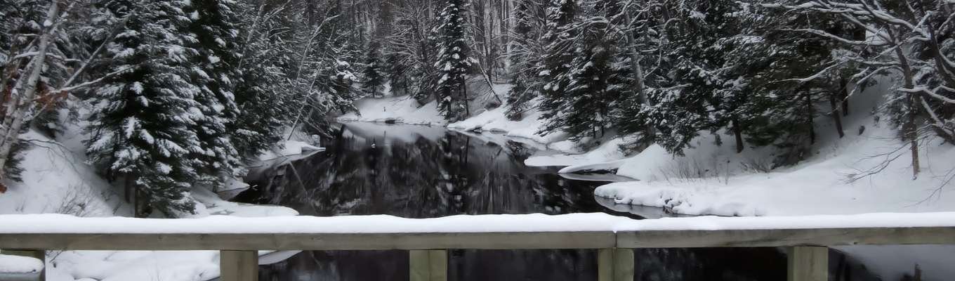 Ecofix Services-Commercial Appliances Service in Orangeville