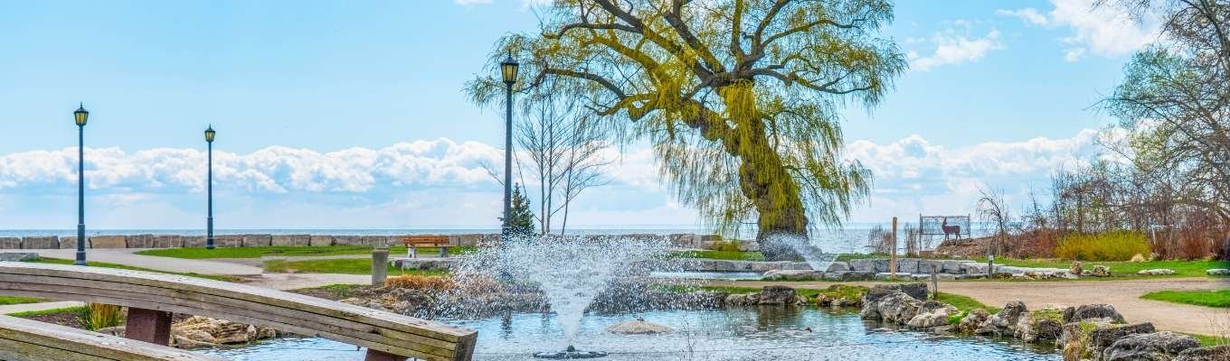 Ecofix Services-Commercial Kitchen Service in Oakville