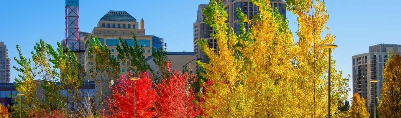 Ecofix Services-Commercial Refrigeration Services in Mississauga