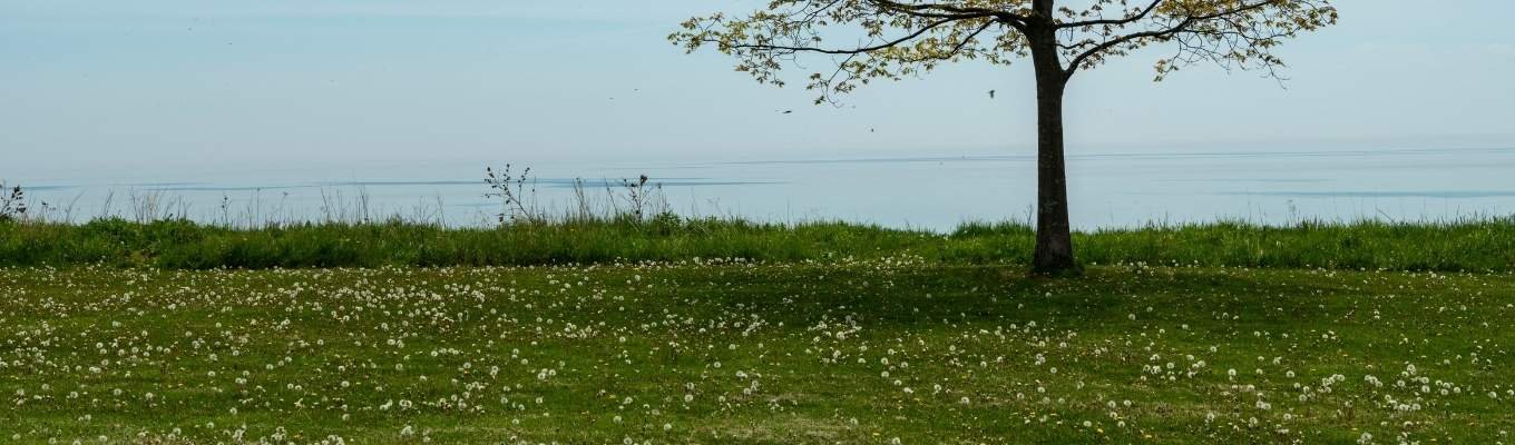 Ecofix Services-Duct Insulation Service in Ajax