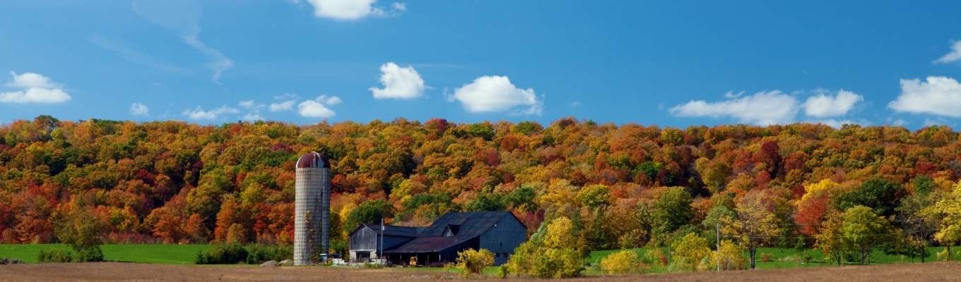 Ecofix Services-Duct Insulation Service in Milton