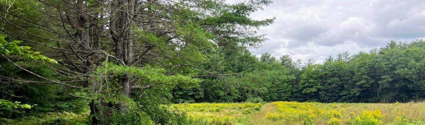 Ecofix Services-Duct Insulation Service in Vaughan