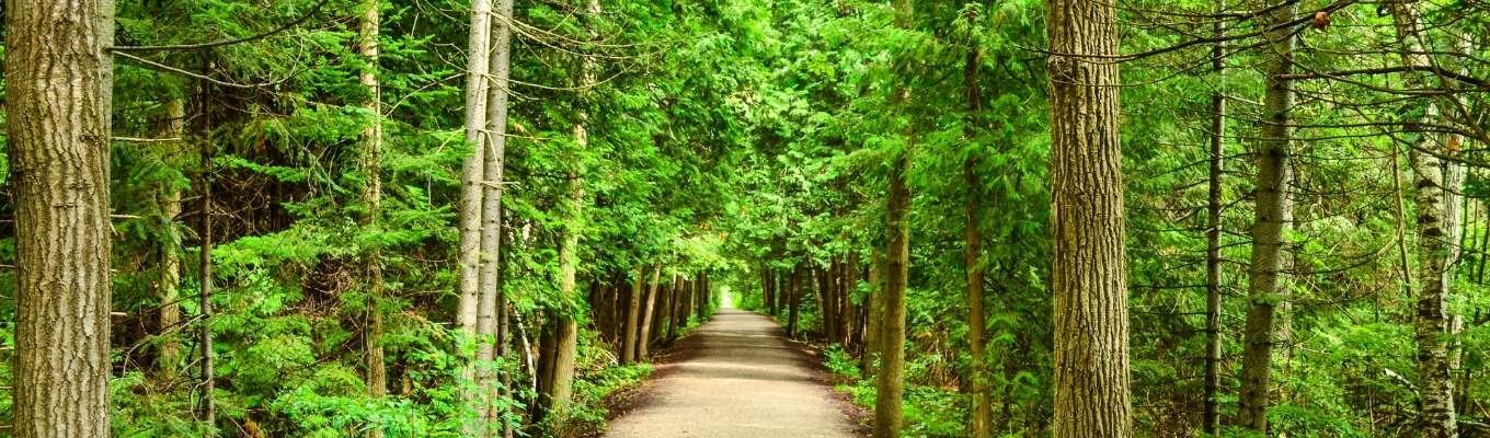 Ecofix Services-Emergency Refrigeration Repairs Service in Orangeville