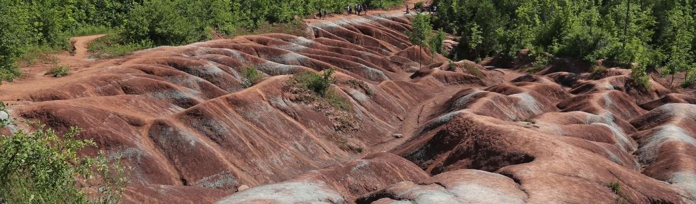 Ecofix Services-Lighting Service in Caledon