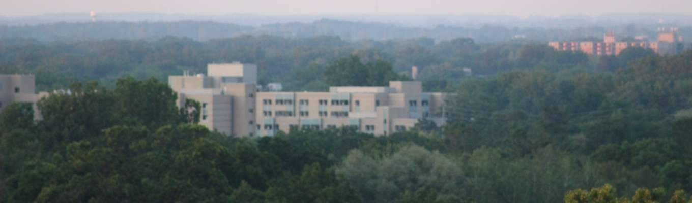 Ecofix Services-New Constructions Services in London