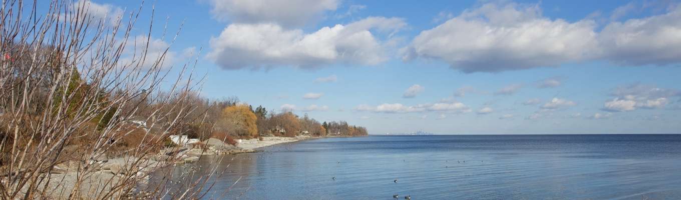 Ecofix Services-New Constructions Services in Oakville