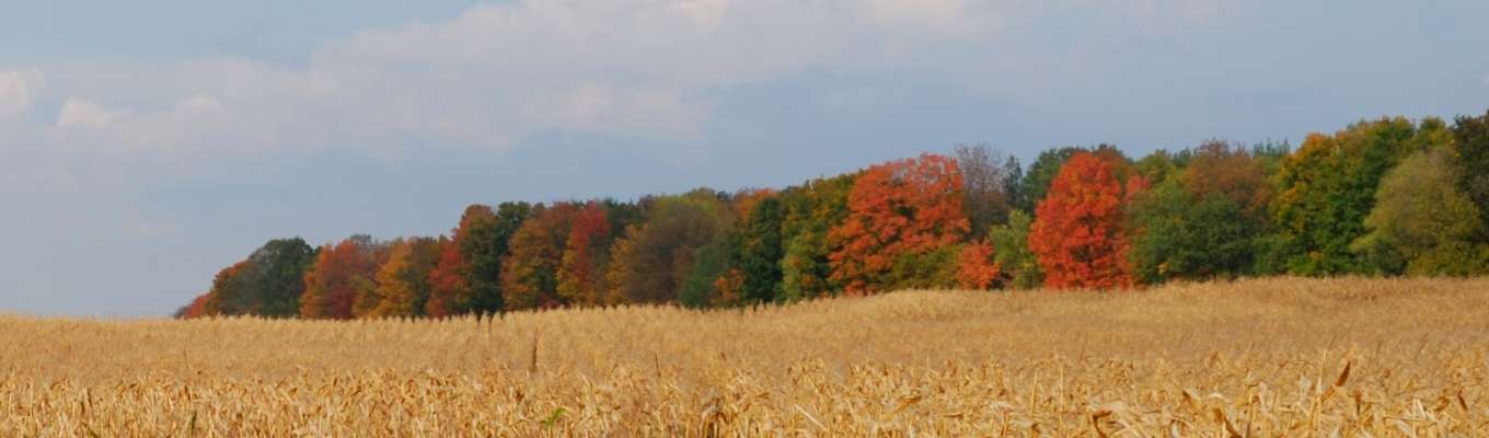 Ecofix Services-New Constructions Services in Orangeville