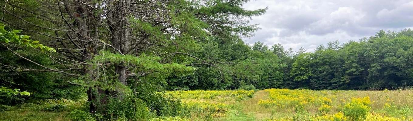 Ecofix Services-New Constructions Services in Vaughan