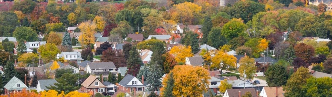 Ecofix Services-Renovation and Additions Service in Hamilton