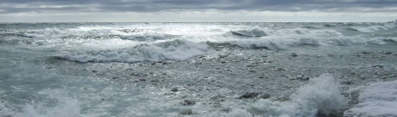 Ecofix Services-Renovation and Additions Service in Orangeville