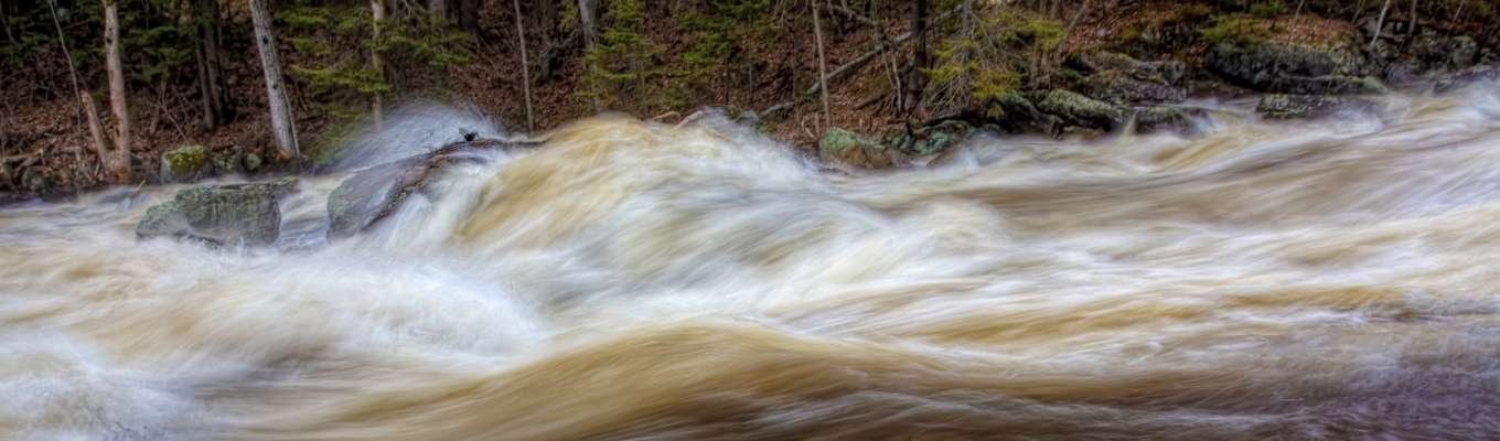 Ecofix Services-Surge Protection Service in Pickering