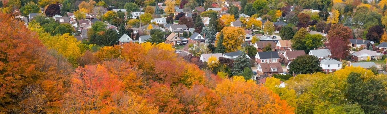 ecofix-services-Backup Generator Service in Hamilton