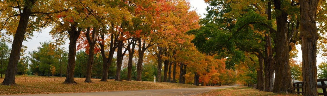 ecofix-services-Electrical Service in Orangeville