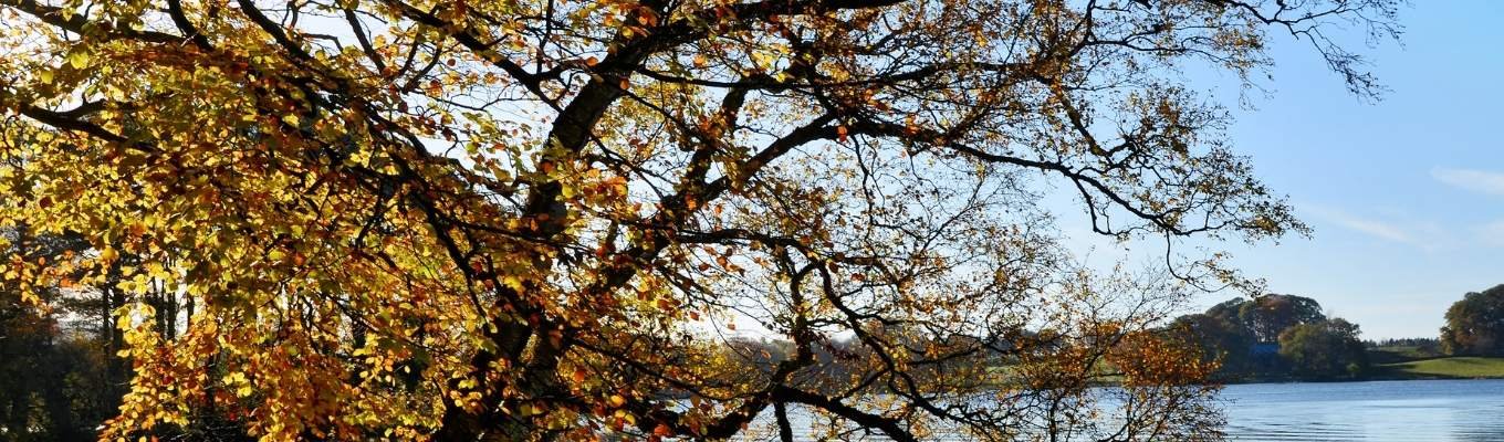 ecofix-services-Fire Alarm Service in Brampton