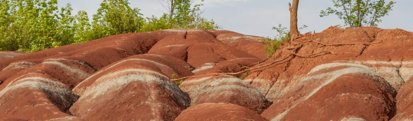 ecofix-services-Refrigeration Service in Caledon