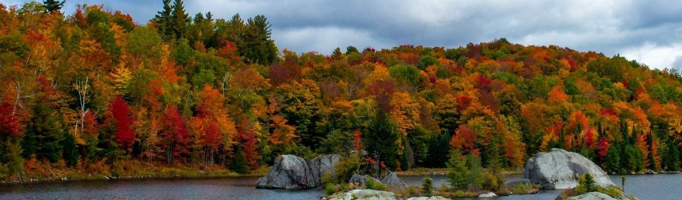 ecofix-services-Service Installation Service in Bolton