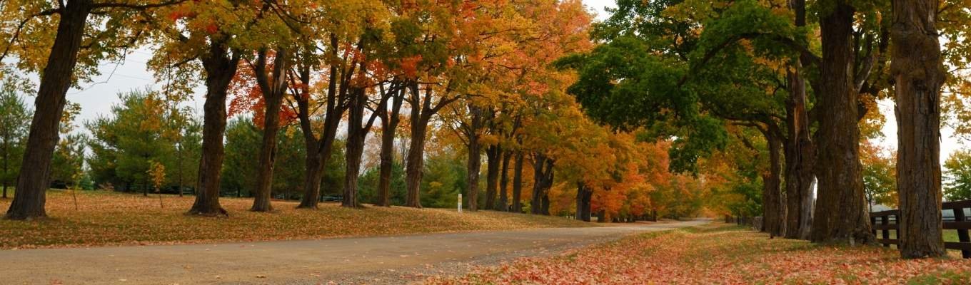 ecofix-services-Service Installation Service in Orangeville